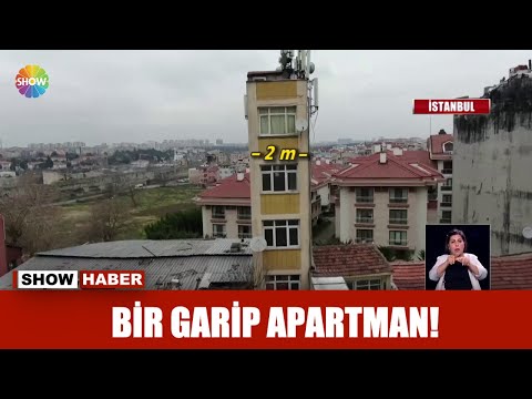 Video: Bir Ağaç Apartmanda Ne Kadar Durabilir?