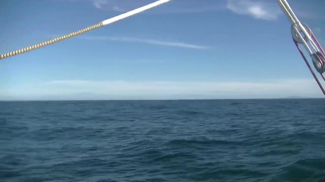 J90 : Romain Attanasio croise un cachalot / Vendée Globe