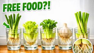 5 Kitchen Scraps That Regrow in Water (The Seed Industry Hates This)