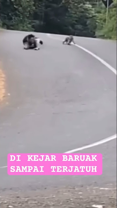 KALAH JAGO DARI BARUAK/BERUH
