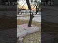 पत्तों ने तो अब उम्मीद छोड़ दी || #motivation #success #thoughts #shortvideo #shorts #viral #reels