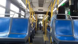 Bx19 southern blvd to E 180 st Nova bus lfs #5960
