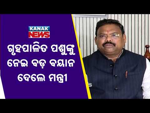 Odisha Flood Update | Minister Makes Big Statement on Livestock Safety