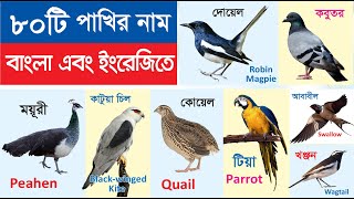 80 Birds Name | ৮০টি পাখির নাম শিখুন | Birds name in Bengali to English | পাখির নাম বাংলা ও ইংরেজিতে