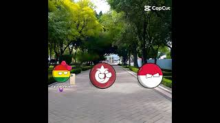 Eu não tenho medo de você polônia! #angirusbrothers #countryballs #zueira