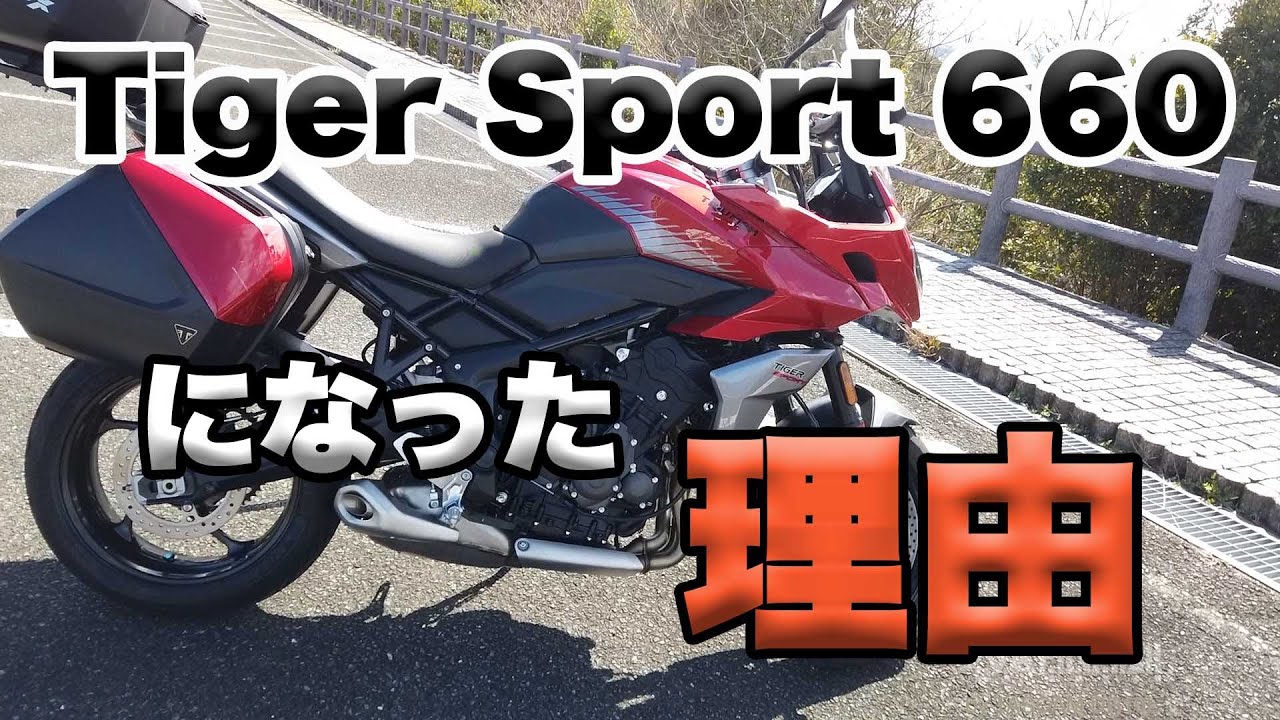 【タイガースポーツ660になった理由】空波鳥十番勝負番外編