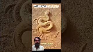 #animals #adventure #discovery #funny #snake