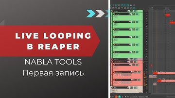 Nabla looper от Esteban Morales. Live Looping в Reaper. Тестовая запись