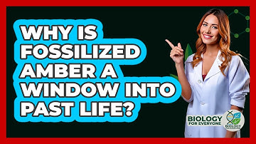 Why Is Fossilized Amber A Window Into Past Life? - Biology For Everyone