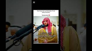 Quran recitation 🤲 #quran #recitation #religion #islam