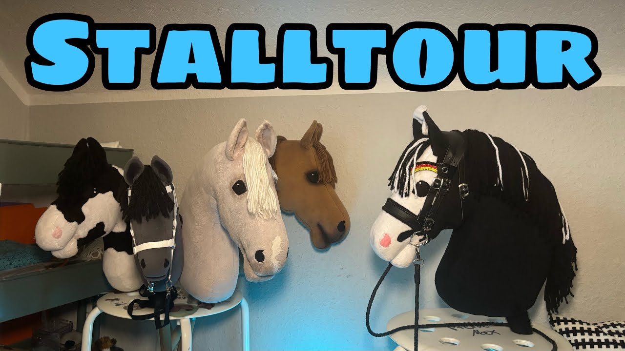 XXL HobbyHorse STALLTOUR + all mein Equipment😍 Dezember 2025❄️