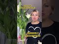 Нужны деньги пиши на ватцап 89503346664