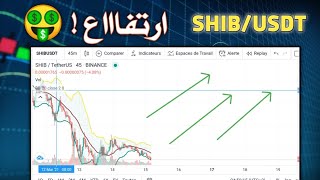 سارع راح يرتفع عملة SHIB بعد 5 ايام ! تحليل على سريع 2021