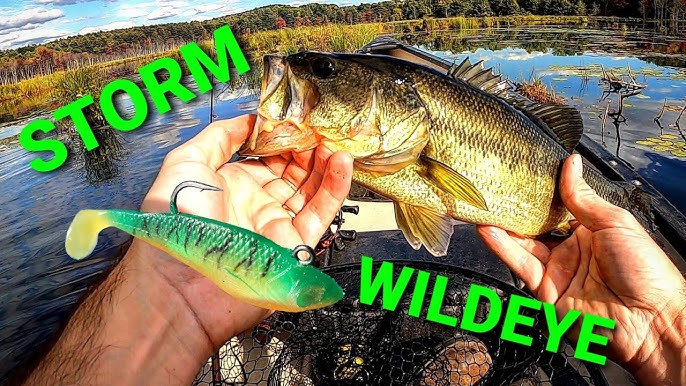 Storm WildEye Live - Perch