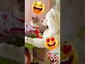 🎬 Funny Dogs & Cats Hilarious Pet Reactions 😂 #youtubeshorts #trendingshorts #funnypets #petlovers