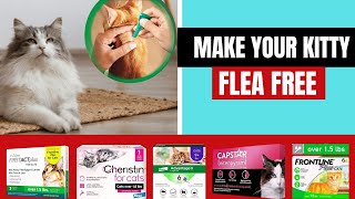 Best Flea Treatment For Cats (Give Your Cat the Gift of Flea Relief)