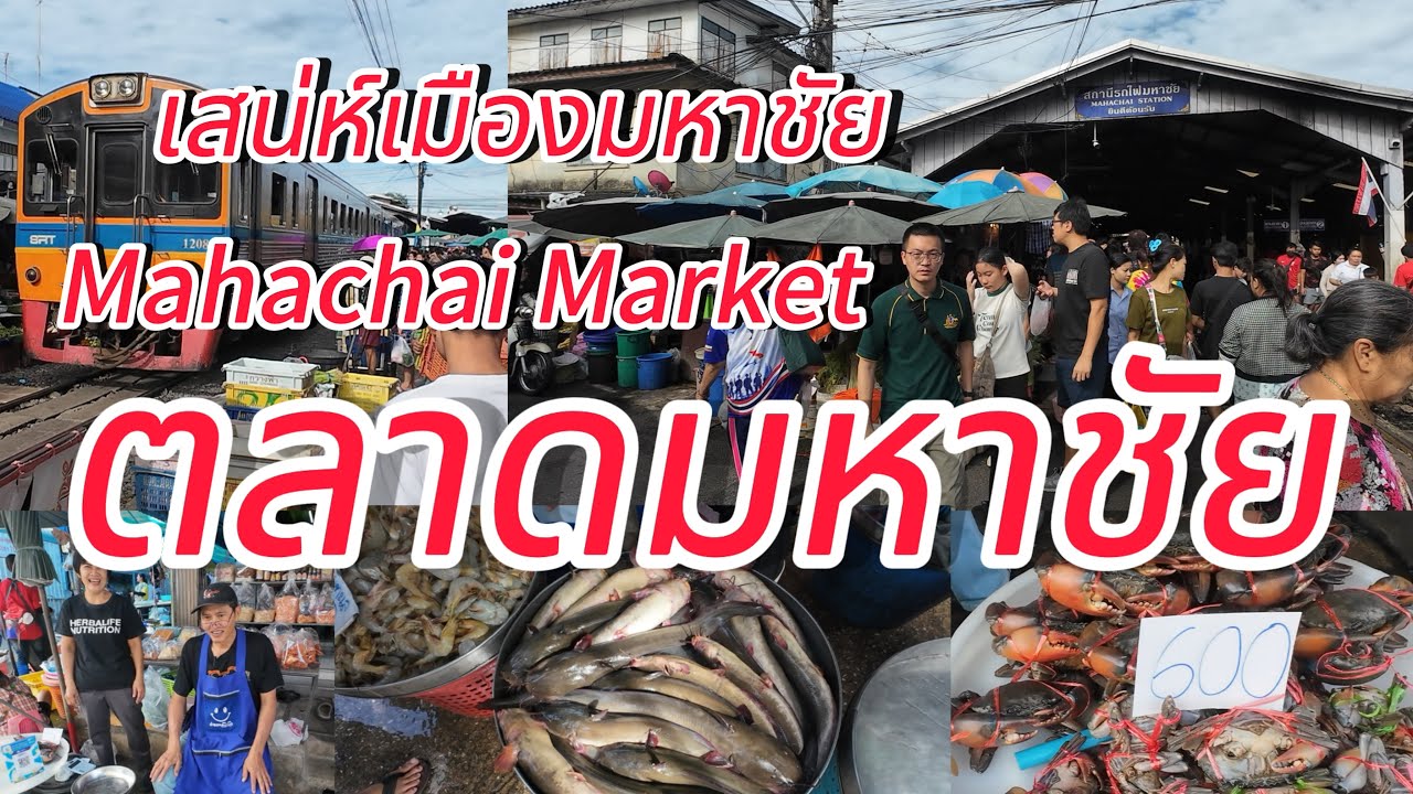 ตลาดมหาชัย…กุ้งหอยปูปลา อาหารทะเลสดใหม่ๆ #ตลาดมหาชัย #Mahachai Market