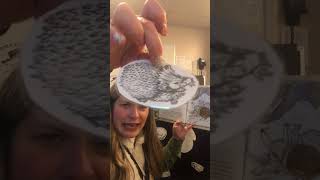 The Mitten Story and lesson