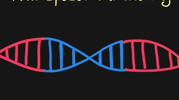 Introduction to Transposons