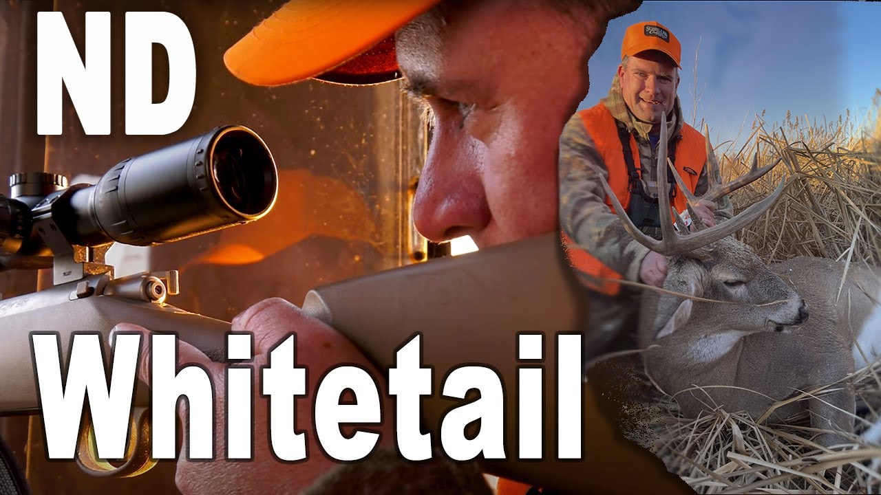 North Dakota Deer Habitat Improvements and Deer Hunt Recap YouTube