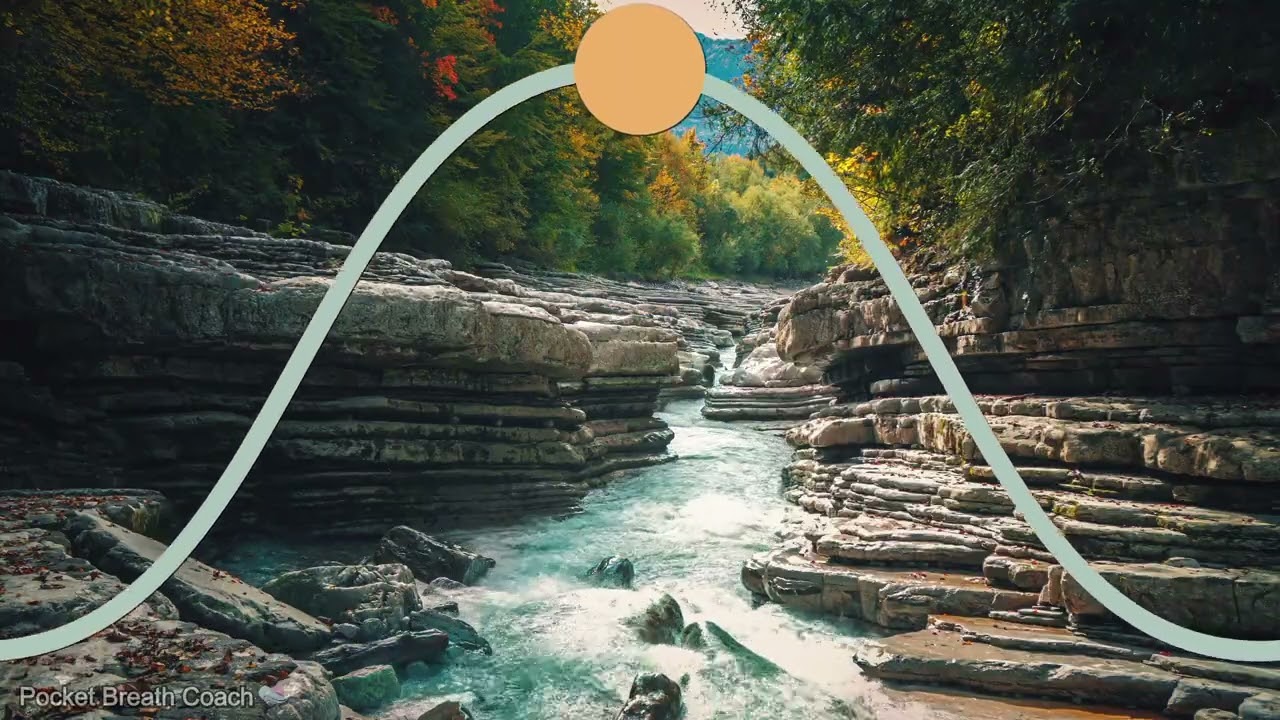 Simple 6 Breaths Per Minute Breathing Exercise: The 5-5 Flow (10 Minutes)