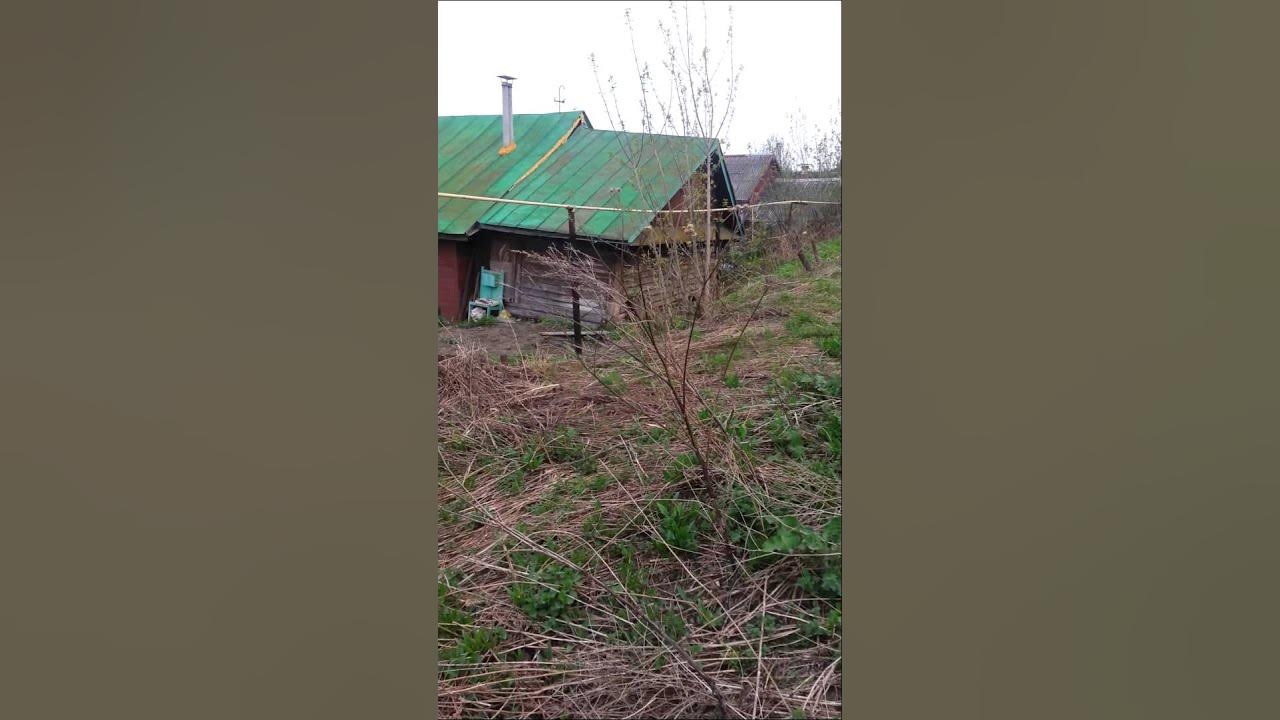 Погода в новописцово на 14. Новописцово иваново. Новописцово иваново. Погода в новописцово на 14. Погода в новописцово на 14.