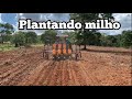 PLANTANDO MILHO NO SÍTIO CAPIM MOIADO