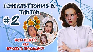 картинка: ОДНОКЛЕТОЧНЫЕ В ТИК-ТОК #2 | ЕСТЬ ЦВЕТЫ ИЛИ ПУКАТЬ В ПРОКЛАДКУ?