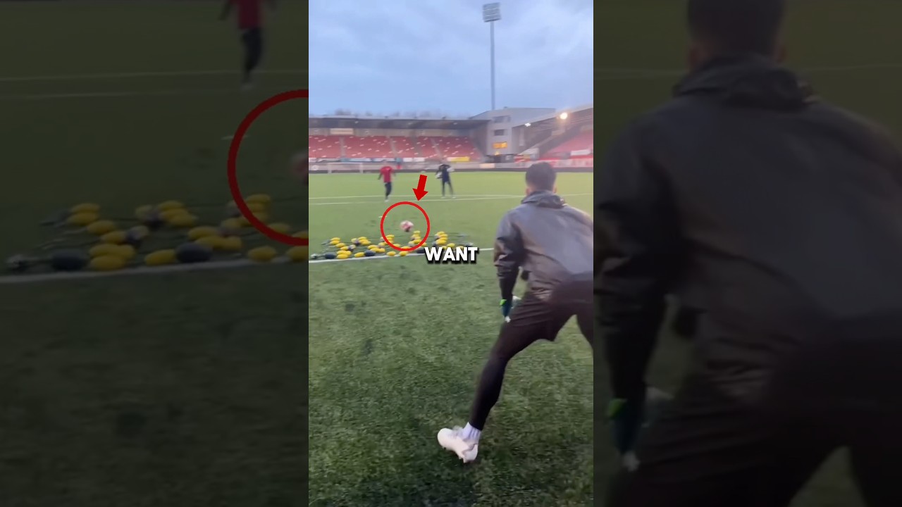 Молниеносная реакция, отражатель мяча