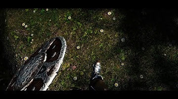 SSE Texture Pack   Osmodius Skyrim Special Edition