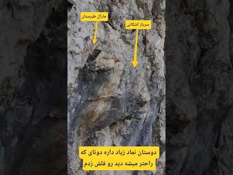 دوستای که میگن این نماد ها زاده تخیل شماست و کار اب و خاکه با دقت به این عکس نگاه کنن پیروز باشید