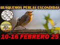 ¿alaban a Jehová las aves y los animales?