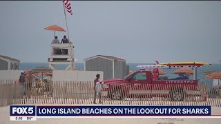Long Island Sees An Increase In Shark Sightings