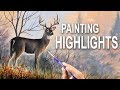 Improving The Highlights In Your Painting