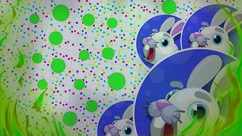 blob.io, the world record of eating virus (experimental mode)