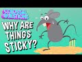 Why Are Things Sticky? | COLOSSAL QUESTIONS