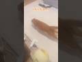 悪戯する猫を追いかけ回す教育ビデオ。