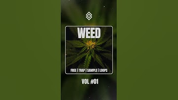 Use This Sample 💯 Free #trapsamples