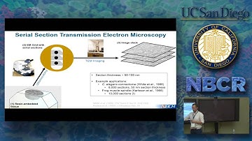 Alex Perez Segmenting Large Electron Microscopic Image Voumes Part 1