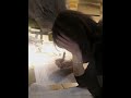 Following the light 📈🥰 || #shorts #studymotivation #trending #song