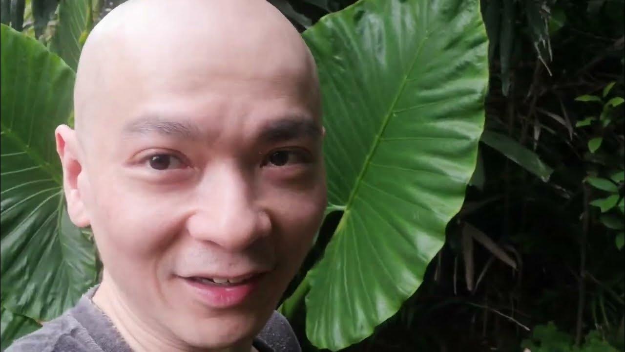 Tropical garden water pipe leak fix YouTube