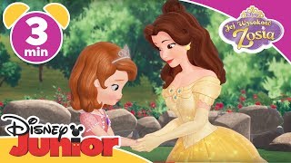 Jej Wysokość Zosia Księżniczka Bella Rozwiązuje Żabi Problem Zosi