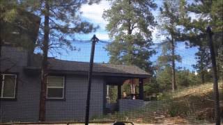 Tramp Sesh 2
