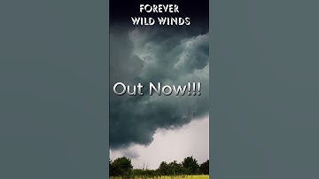 Wild Winds Out Now!!!  #music #album #forever #song #vevo #shortsyoutube #shorts #wildwinds