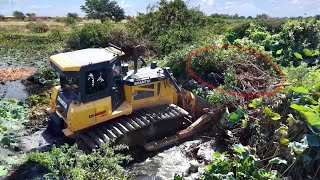 SHANTUI Bulldozer Takes on a Huge Pond! Soil Filling & Forest Clearing
