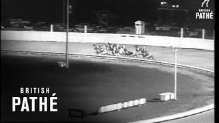 Trotting Race In New York At Night  (1958)