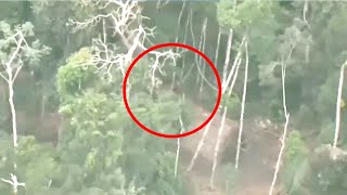 Scientists Make Unexpected Discovery In Canada After Finding This In The Middle Of A Forest