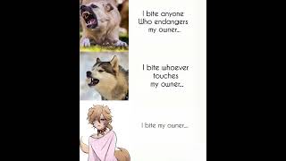 Why Do Puppy Boys Bite?