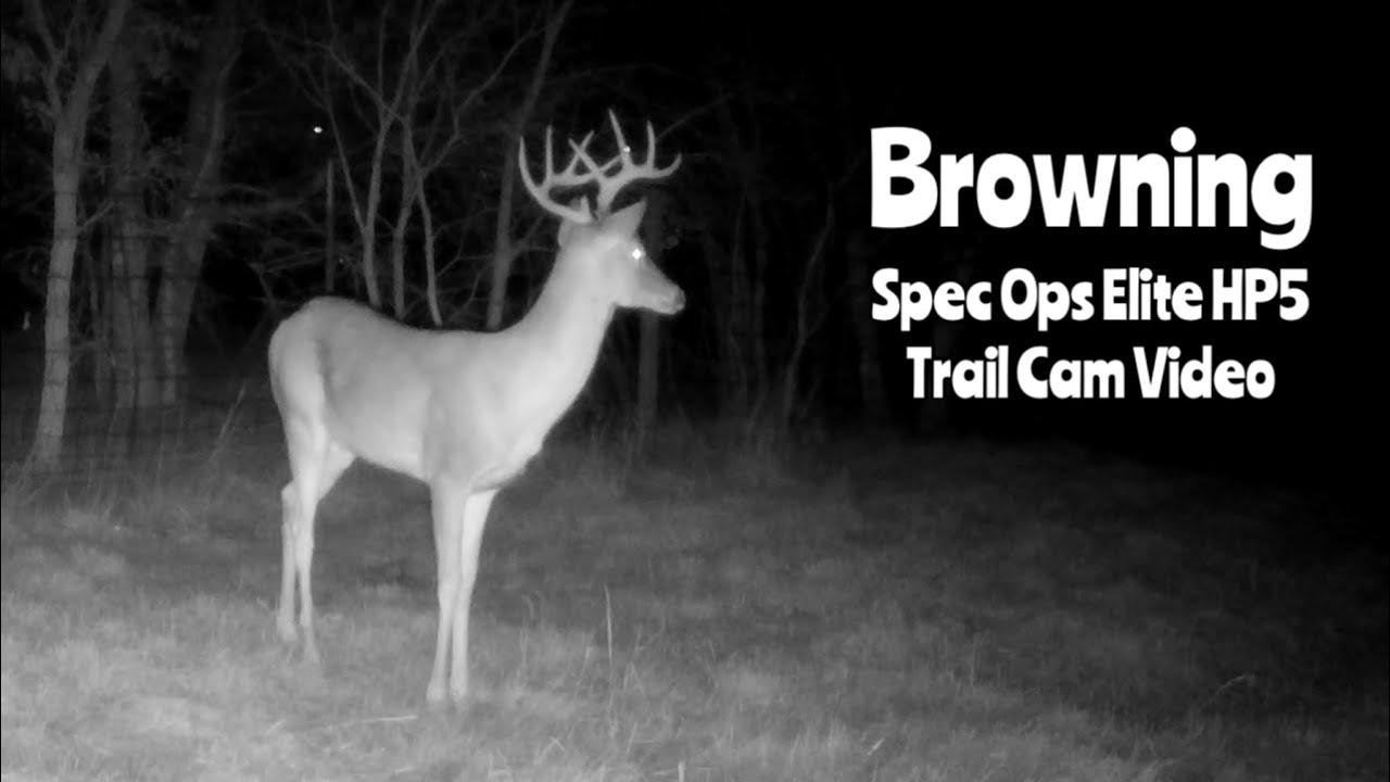 Spec Ops Elite HP5: Browning Trail Cam Video Dec. 5-10, 2022