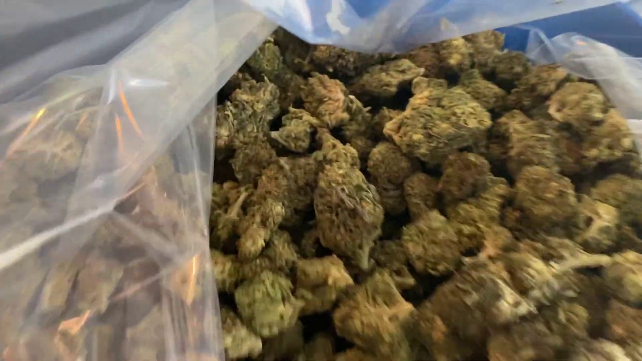 Hempress 3 Hand Trimmed Smokable Flower